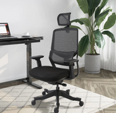 OC10 Soutien Ergonomic Office Chair